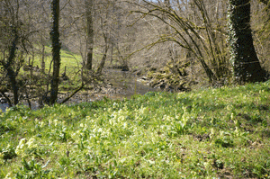 French Riding Holidays offer the very best in riding holidays in France, horse riding in France and activity holidays in France