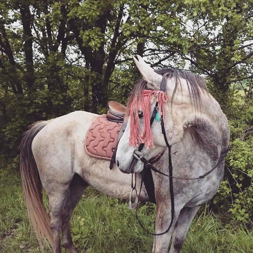 Turkan