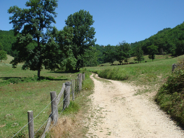 A view from a ride heading home along the valley