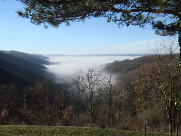 Mist in the valley