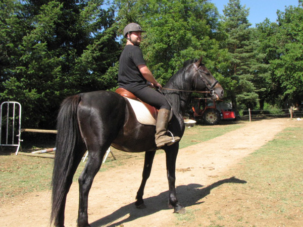 Solo the Stallion (though you'd never guess)