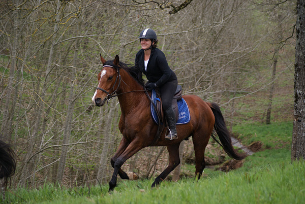 horses